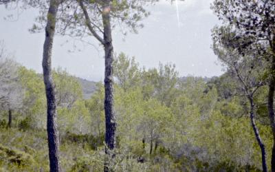 Jan_5_5_12