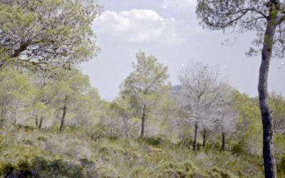 Jan_5_5_13