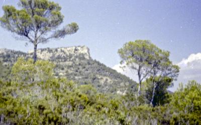 Jan_5_5_16