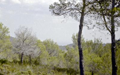 Jan_5_5_18