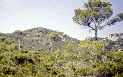 Jan_5_5_19