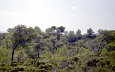 Jan_5_5_20