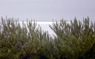 Jan_5_6_01