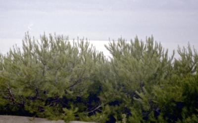 Jan_5_6_02
