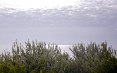 Jan_5_6_03