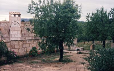 Jan_8_2_10