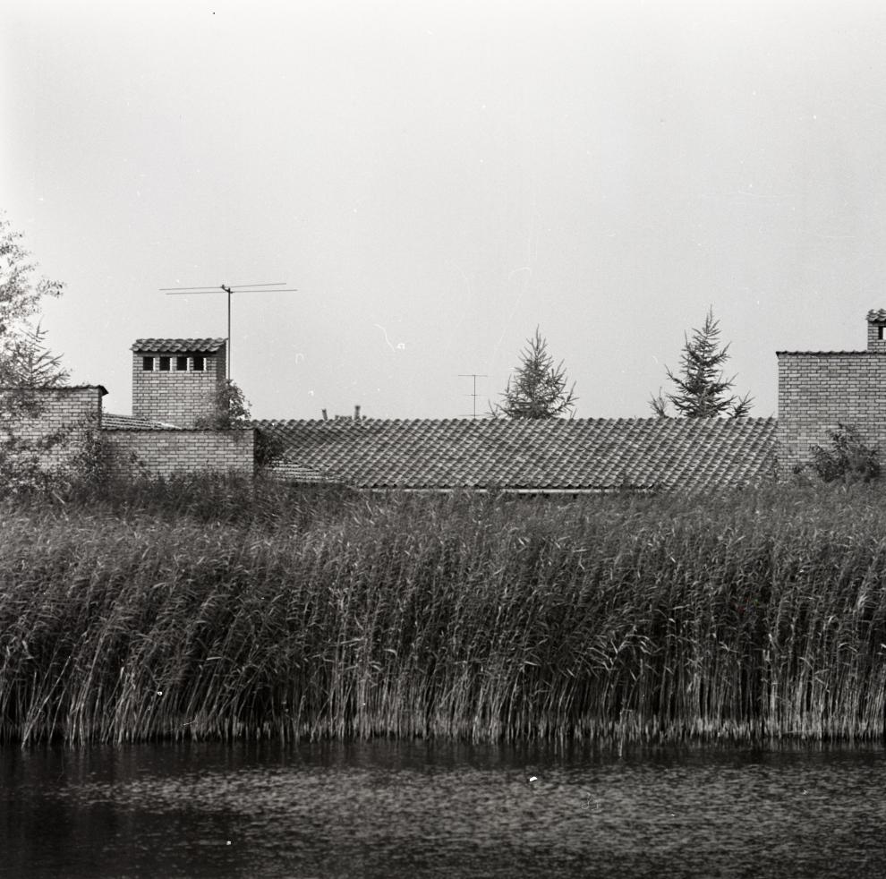 8_terasserne407