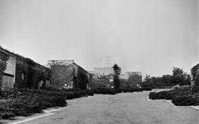 Utzon-57394