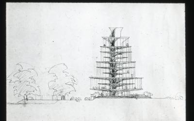 2_langelinje_planer264