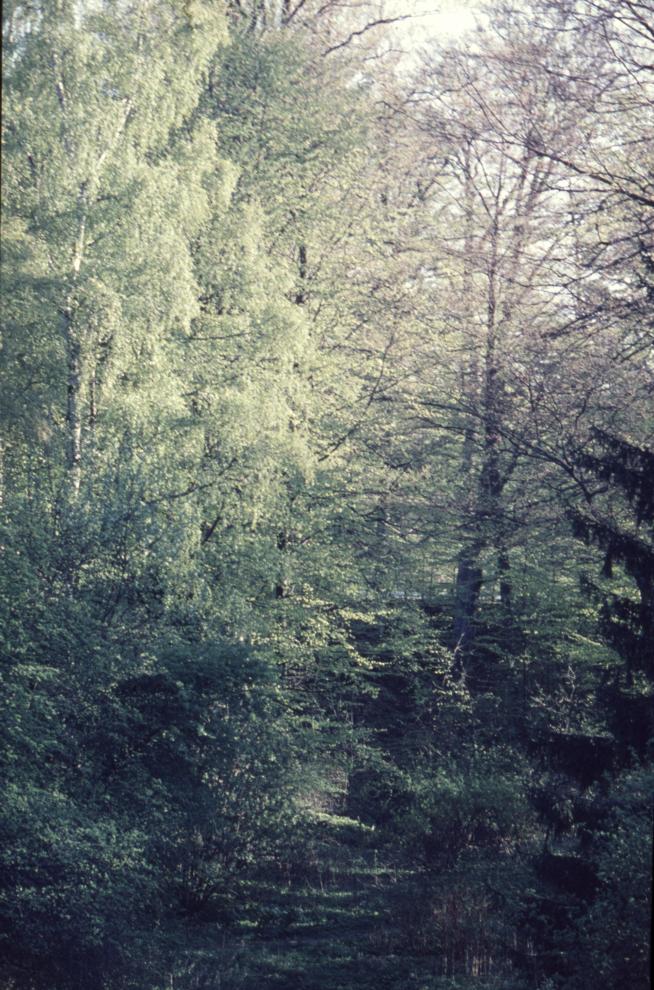 97_Nature_2.6_10-48