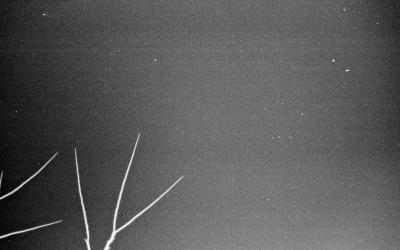 Jan_10_2_1_29