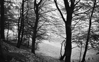 Jan_10_6_1_18