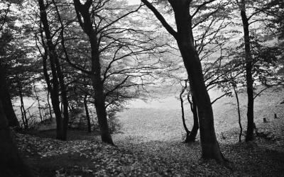 Jan_10_6_1_19