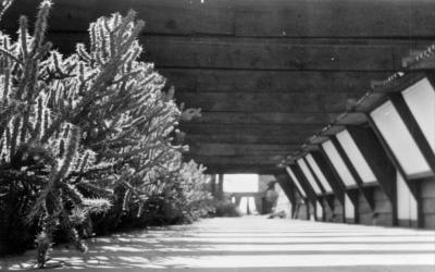 Jan_8_14_37