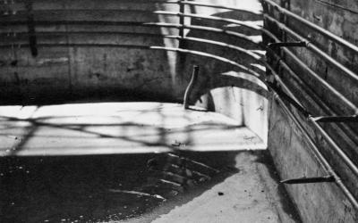 Jan_8_39_05