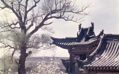 83_Yungang_1.1_8-24