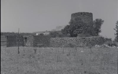 95_Ibiza_1.4_25-30