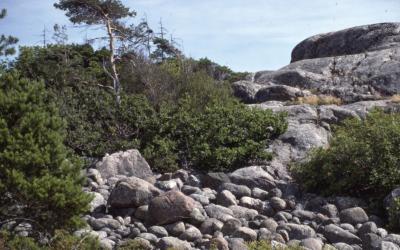97_Nature_2.6_7-48